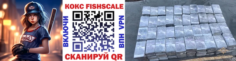 купить   Новоалтайск  КОКАИН FishScale 
