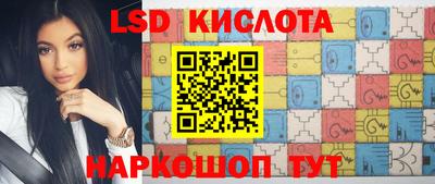 индика Дубна