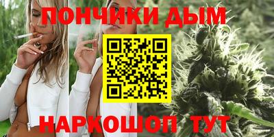 индика Дубна