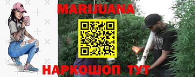 индика Дубна