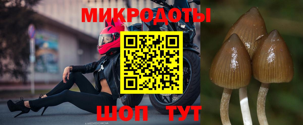 Новоалтайск  Псилоцибиновые грибы Psilocybe  Галлюциногенные грибы мухоморы  Вход с VPN 