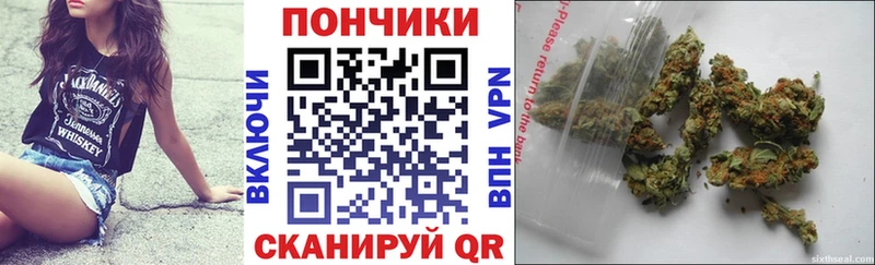 Шишки марихуана марихуана Новоалтайск